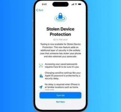 火炬开发区街道苹果授权维修店分享被盗设备保护功能开启方法 