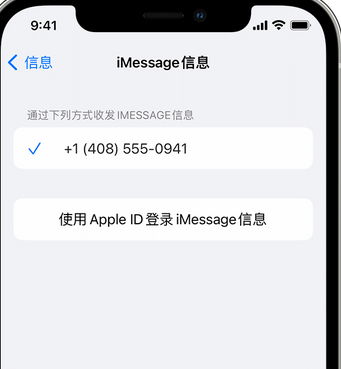 火炬开发区街道apple维修iPhone上无法正常发送iMessage信息 