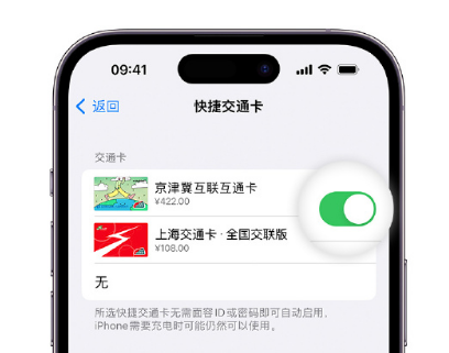 火炬开发区街道apple维修点分享iPhone上更换Apple Pay快捷交通卡手绘卡面 