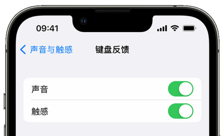 火炬开发区街道苹果手机维修分享iPhone 14触感键盘使用方法 