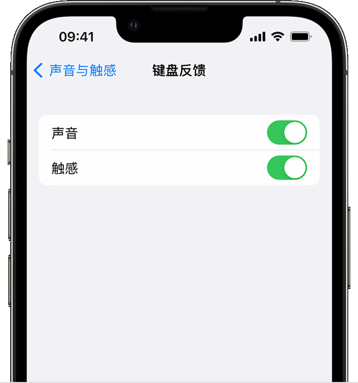 火炬开发区街道苹果14维修店分享如何在 iPhone 14 机型中使用触感键盘 