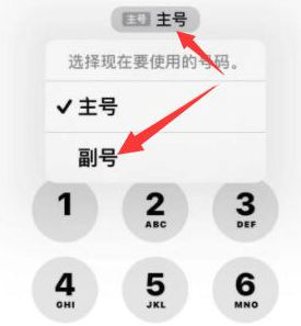 火炬开发区街道苹果14维修店分享iPhone 14 Pro Max使用副卡打电话的方法 